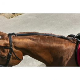 ATTACCO DAISY per PONY in nylon Attacchi 